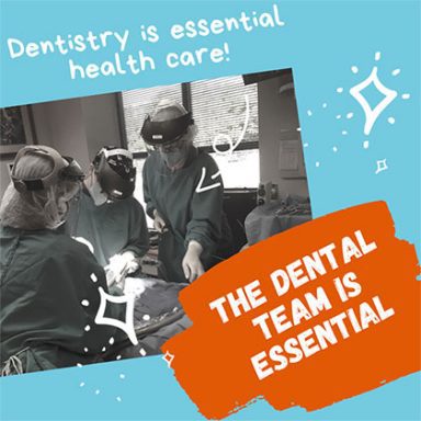 The Dental Team is Essential