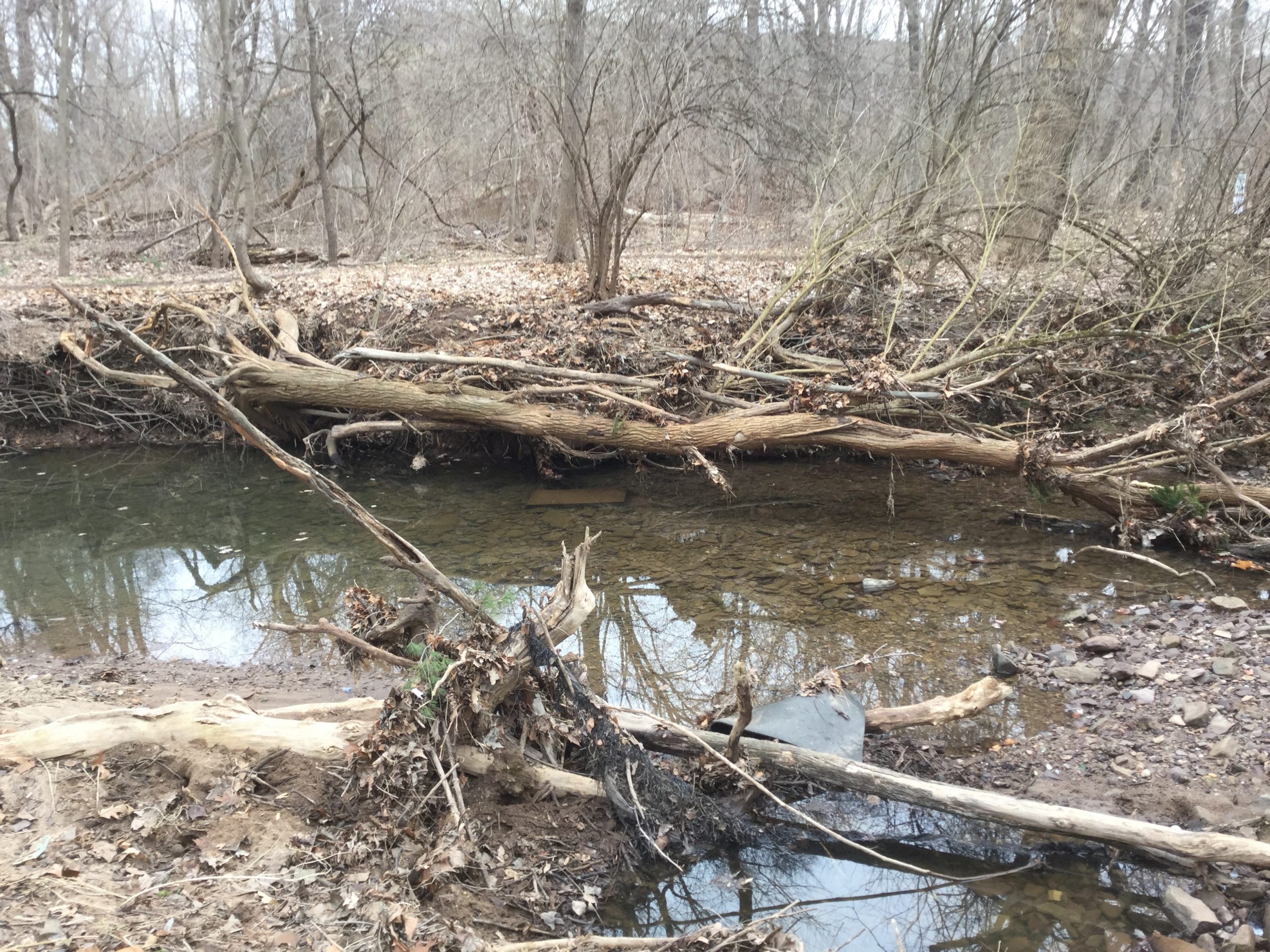 An eroded stream bank